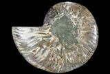 Agatized Ammonite Fossil (Half) - Madagascar #88245-1